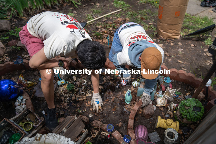 Delta Phi Fraternity’s Ben Huffer and Quinny Brumbaugh, clear away leaves and debris from a homeowner’s decorated garden during the Big Event. May 4, 2024. Photo by Kirk Rangel for University Communication.